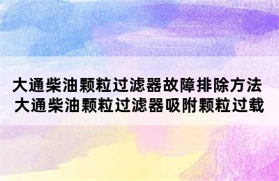 大通柴油颗粒过滤器故障排除方法 大通柴油颗粒过滤器吸附颗粒过载